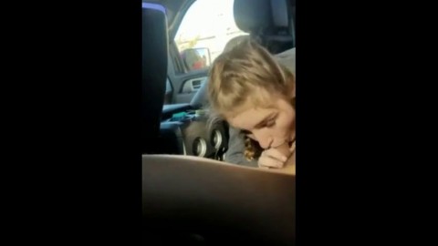 Blonde college girl with braids sucks cock in the car