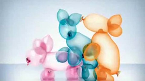 Baloon Animals